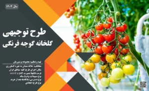 طرح توجیهی گلخانه گوجه فرنگی_پرشین پلن