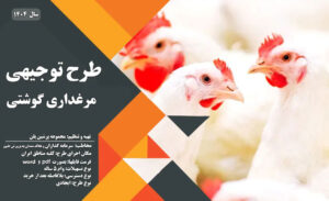 طرح توجیهی مرغداری گوشتی_پرشین پلن