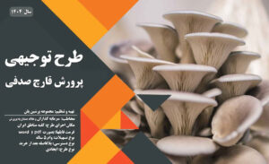 طرح توجیهی تولید قارچ صدفی_پرشین پلن