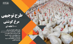 طرح-توجیهی-پرورش-مرغ-گوشتی-1000-قطعه-ای_ پرشین پلن