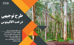 طرح توجیهی کاشت درخت اکالیپتوس-پرشین پلن