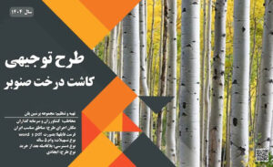 طرح توجیهی کاشت درخت صنوبر_پرشین پلن