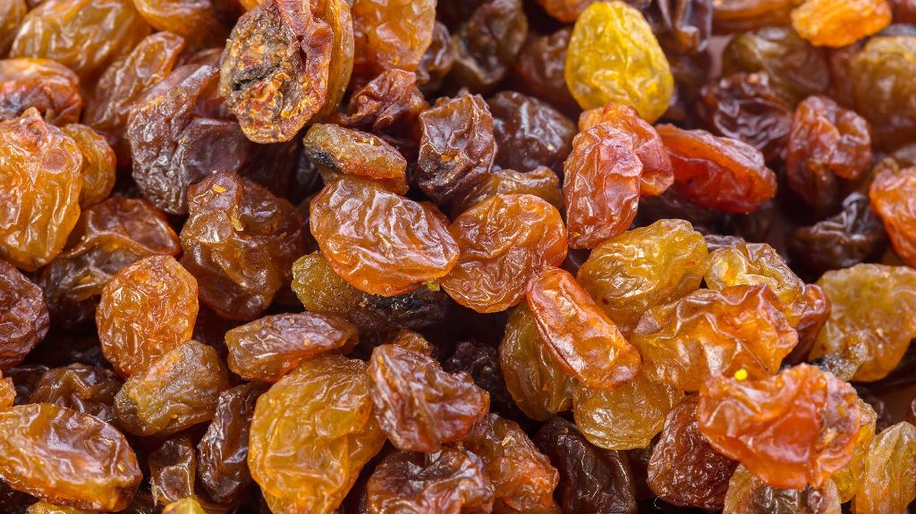 چرا طرح توجیهی تولید کشمش برای اخذ تسهیلات بانکی ضروری است؟_پرشین پلن